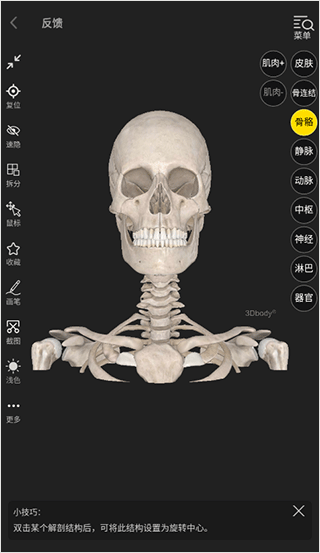 3dbody解剖app免费版