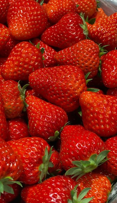 ins风格超火的草莓壁纸很甜很温柔的草莓皮肤