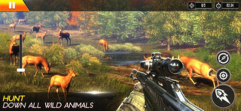 狙击鹿狩猎免费版图5