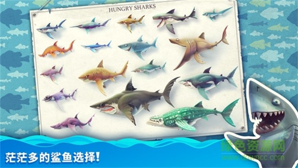 饥饿的鲨鱼世界3D图5