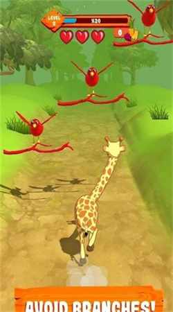 Giraffe图6