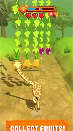 Giraffe图4