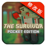 幸存者袖珍版游戏(The Survivor: Pocket Edition)