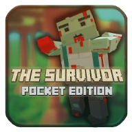 幸存者袖珍版游戏(The Survivor: Pocket Edition)