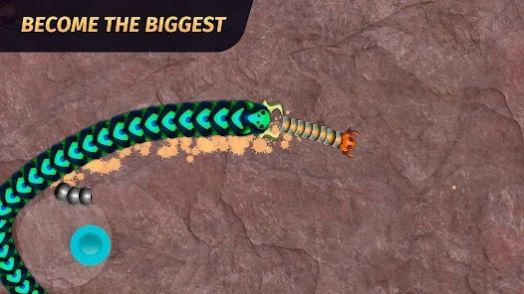 巨蛇蠕虫游戏图3