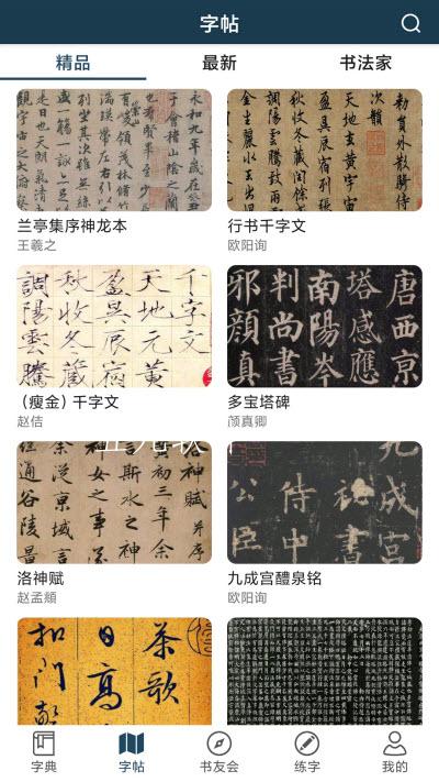 汉字书法字典图2