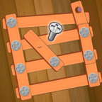 螺丝拼图挑战(Screw Puzzle Challenge)