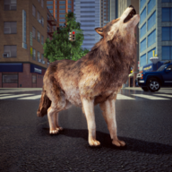 野狼生活模拟器游戏(Wild Wolf Life Simulator Game)