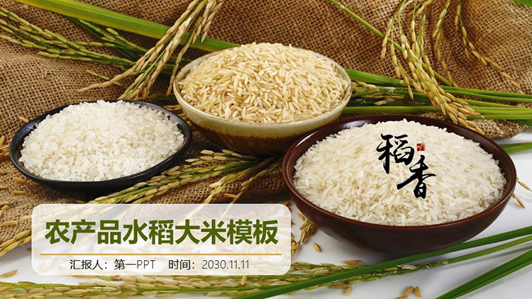 稻穗和三碗大米背景的稻香主题PPT模板