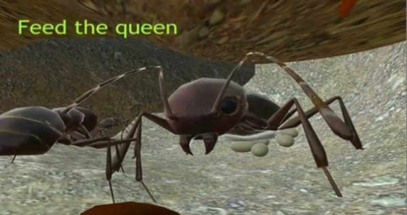 3d蚂蚁模拟器游戏