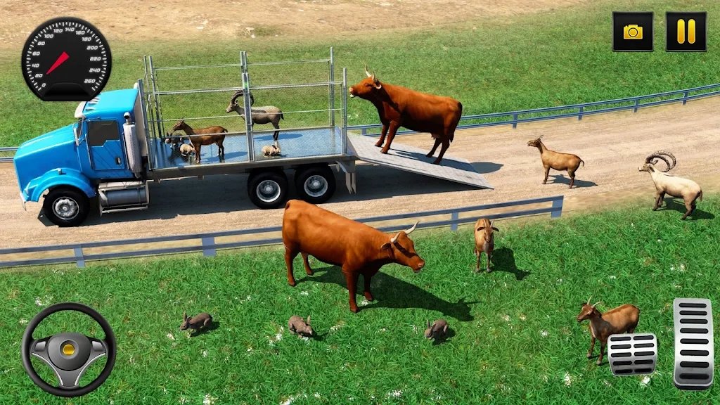 农场动物驾驶模拟器第0张截图