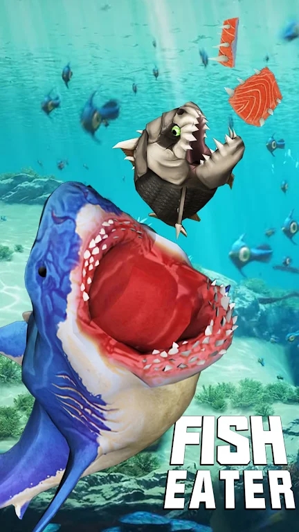 海底鲨鱼食鱼第0张截图