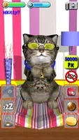 kitty可爱的虚拟宠物Kitty lovely Virtual Pet