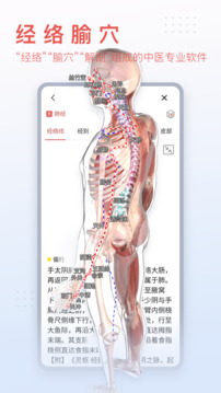 3dbody解剖软件