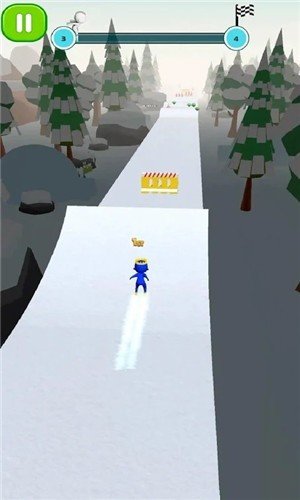 Ski Fun Race 3D图1