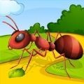 蚂蚁赛跑殖民地(Ants Race)