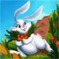 兔子农场奔跑
