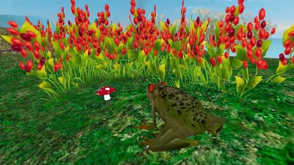 雨林青蛙生存模拟图1