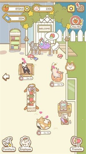 猫咪温泉游戏图1