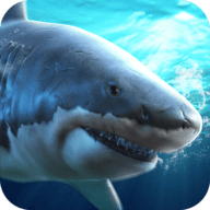 真实模拟鲨鱼捕食游戏
