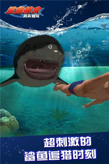 真实模拟鲨鱼捕食游戏图2