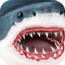 鲨鱼模拟器
