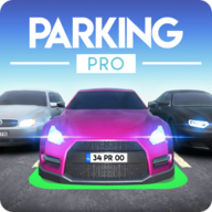 专业停车场(Parking Pro)