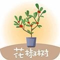 花椒樹貸款app