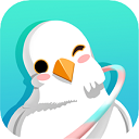 呼啦鸽app最新版