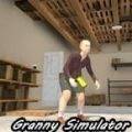 小屁孩模拟器(Granny Kick Neighbor)