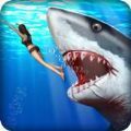 愤怒的鲨鱼猎人游戏官方版安卓版