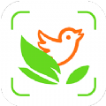 植物识别App官方版