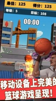 街头篮球3D单机版