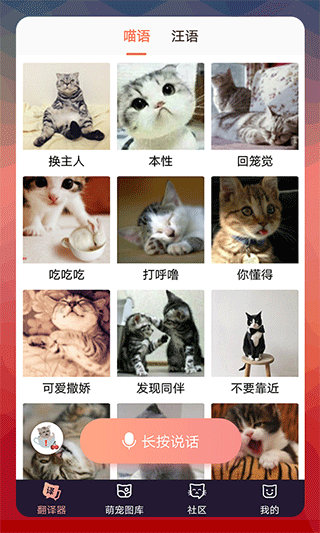 猫语翻译器下载手机版截图1