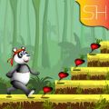 熊猫跳跃跑酷游戏官方手机版