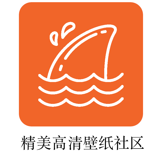 飞鲨壁纸app安卓版
