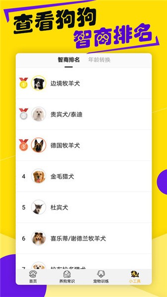 狗语翻译器app图4