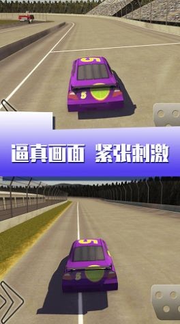 闪电疯狂赛车中文版图3