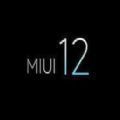 miui12.5答题app