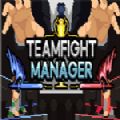TeamfightManager