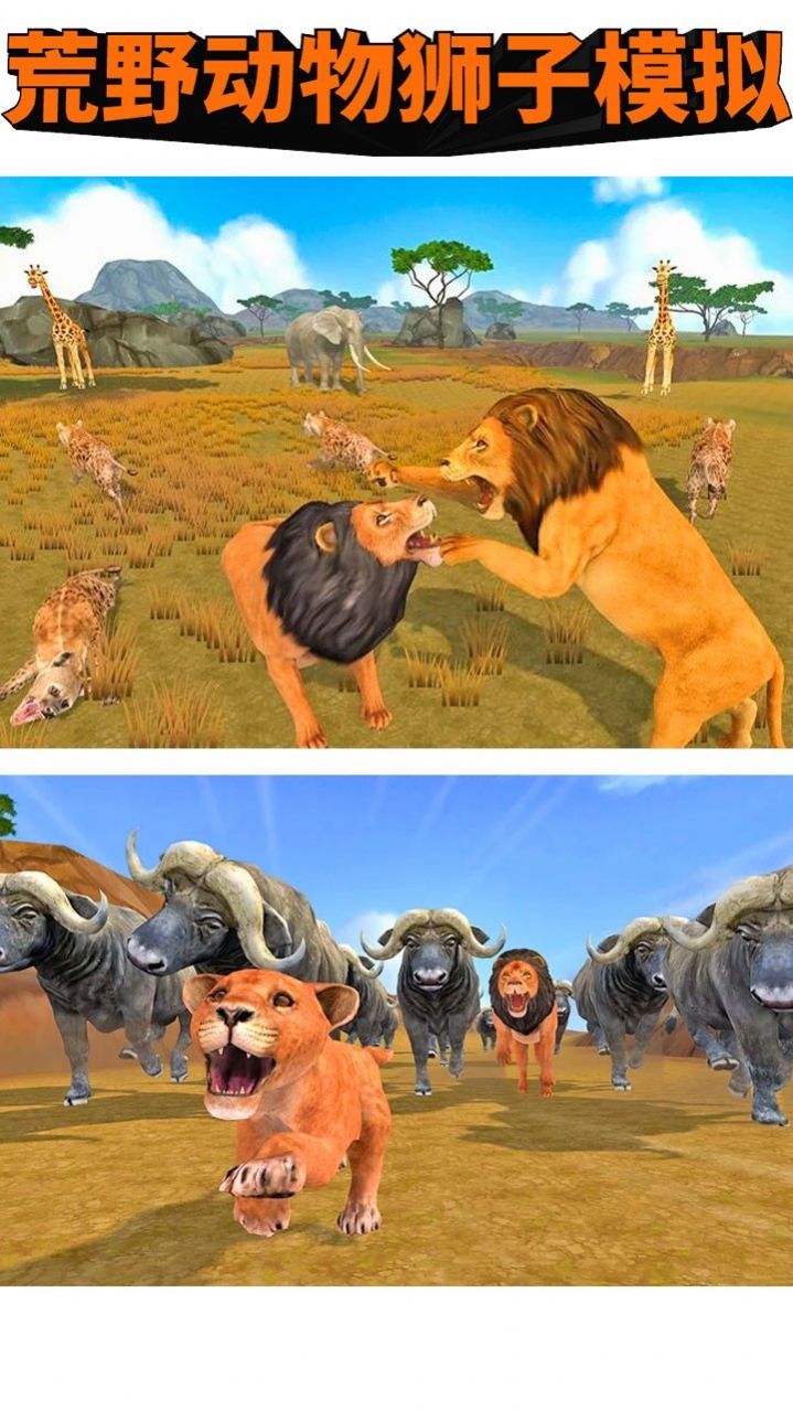 荒野动物狮子模拟手机版图1