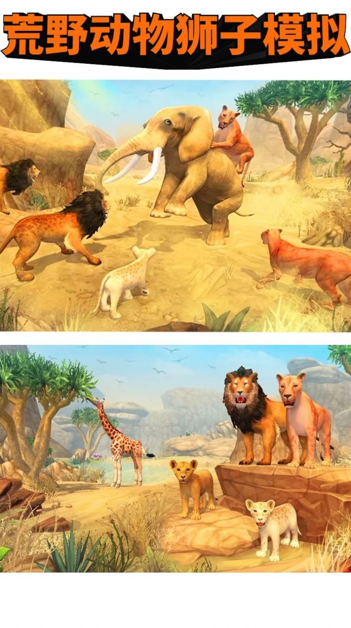 荒野动物狮子模拟手机版图2
