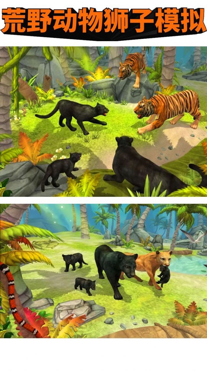 荒野动物狮子模拟手机版图3