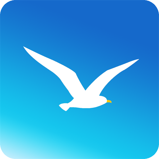 海鸥vp(永久免费)加速器6.0最新版