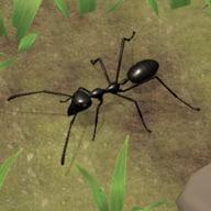 蚂蚁帝国模拟器手机版
