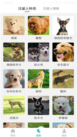 动物翻译器全部动物图2
