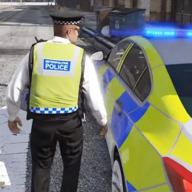 警察模拟器警察追逐3D