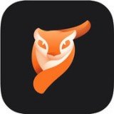 Pixaloop安卓app