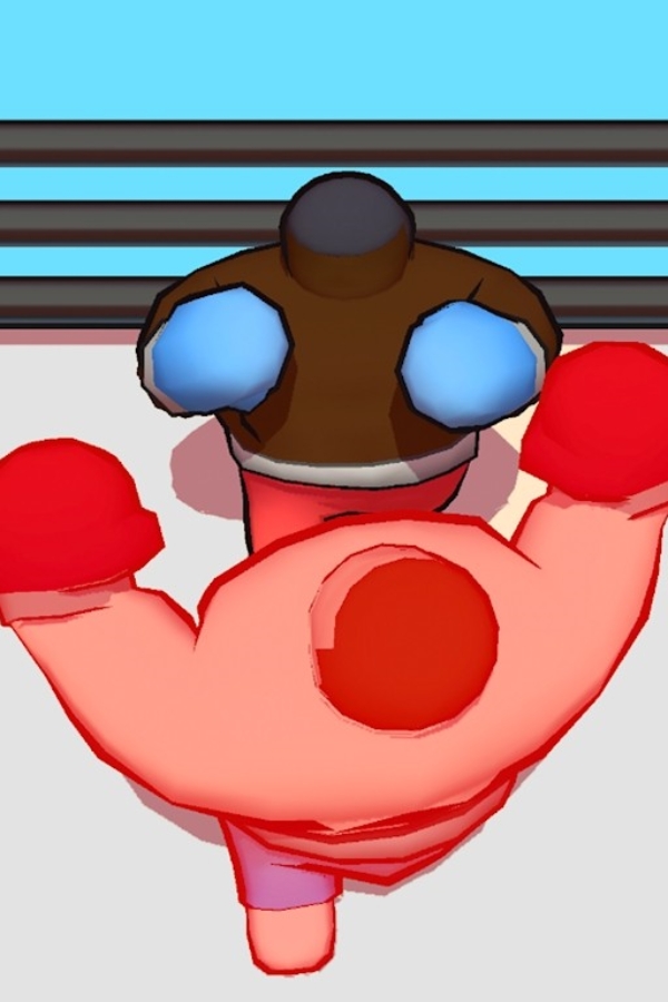 Tiny Head Boxer图2