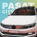 帕萨特汽车之城游戏图标